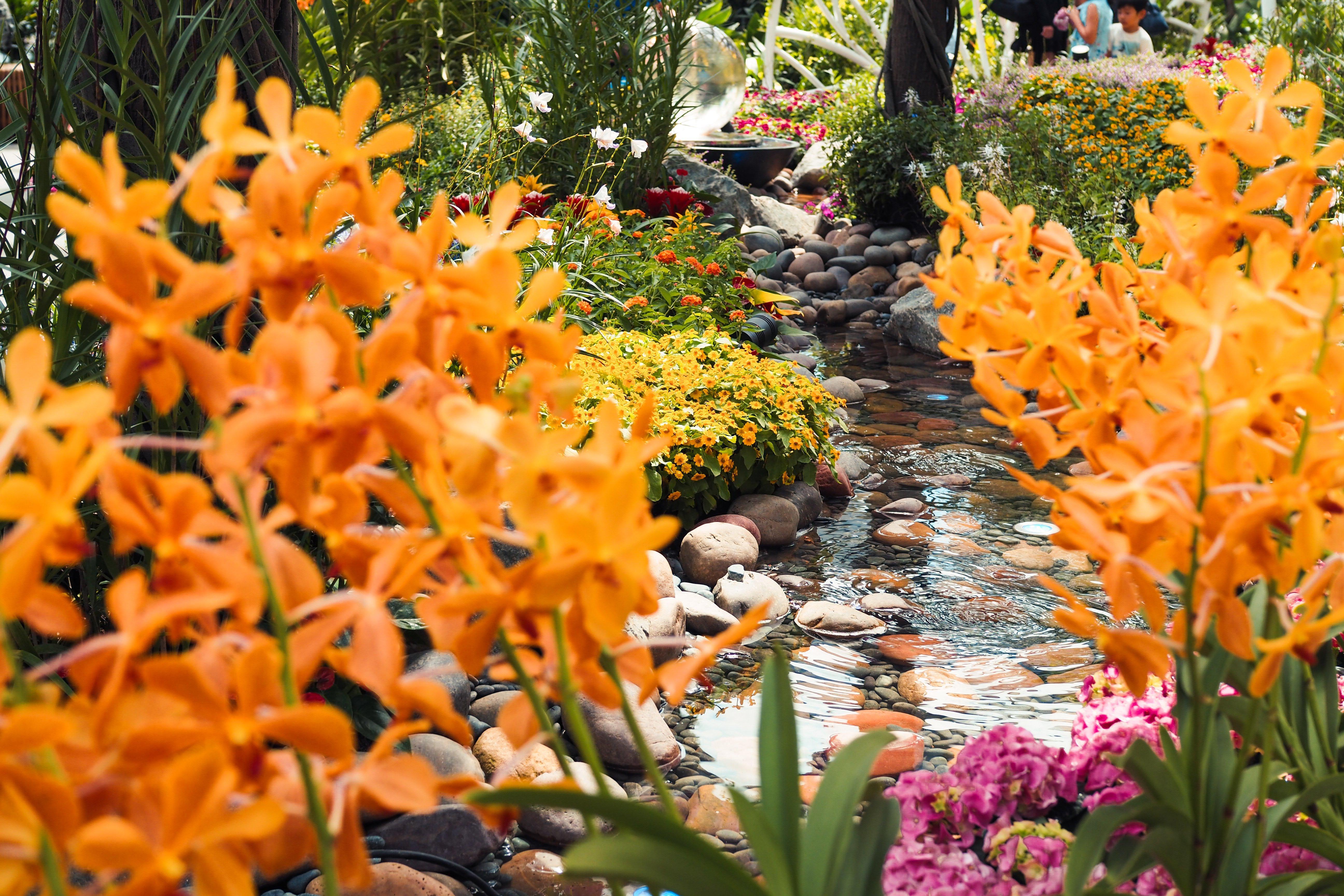 Crowne Plaza Changi Airport, An Ihg Hotel Singapore Exterior photo The photo depicts a vibrant garden setting filled with an array of colorful flowers and greenery. In the foreground, there are striking orange flowers, which are surrounded by lush foliage. A winding stream can be seen, with smooth stones lining its 