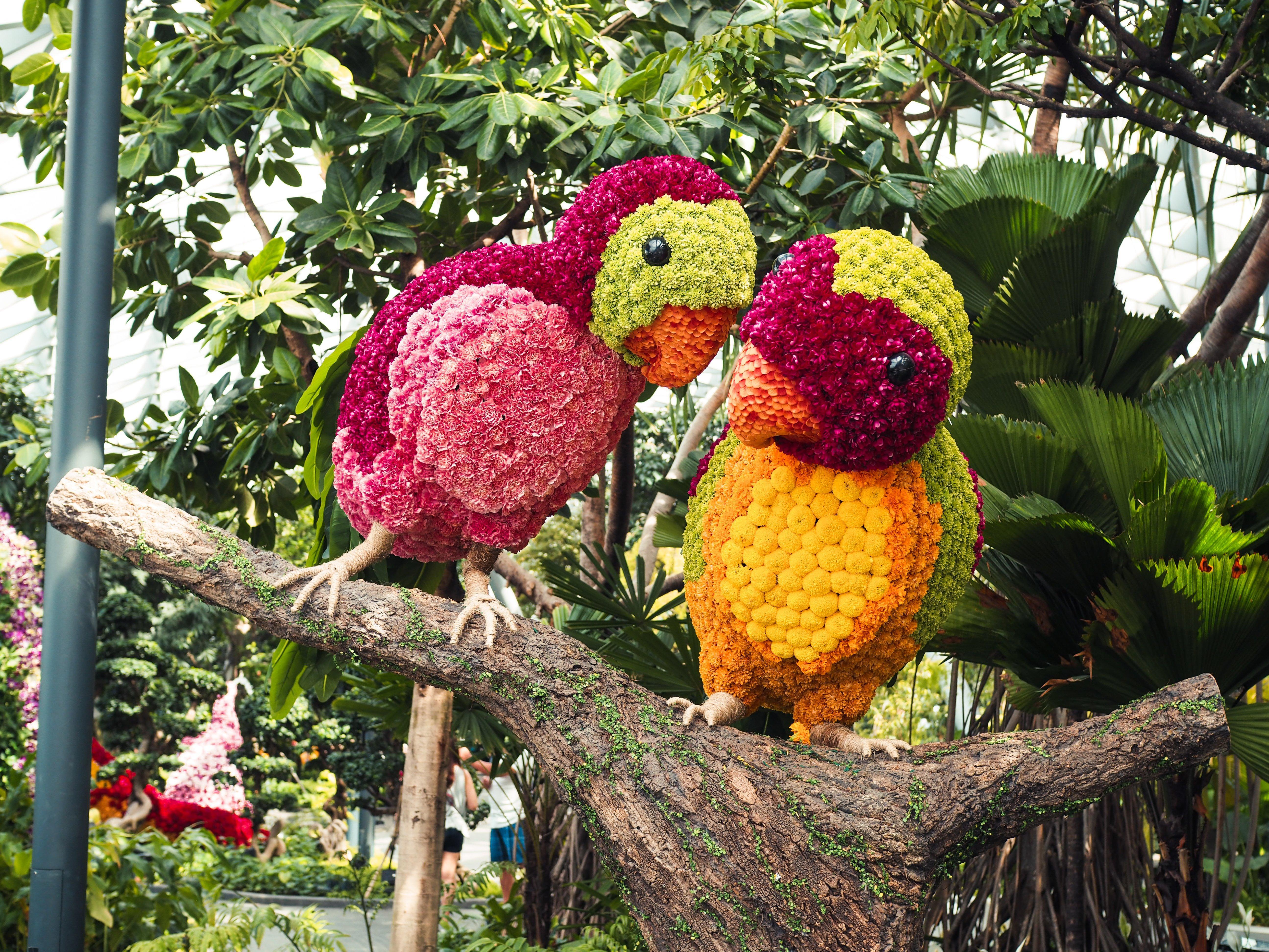 Crowne Plaza Changi Airport, An Ihg Hotel Singapore Exterior photo The photo shows two vibrant and colorful bird sculptures made from various flowers. They are perched on a branch, surrounded by lush green foliage. The birds feature bright pink, green, and orange hues, resembling tropical birds. The artistic arrange