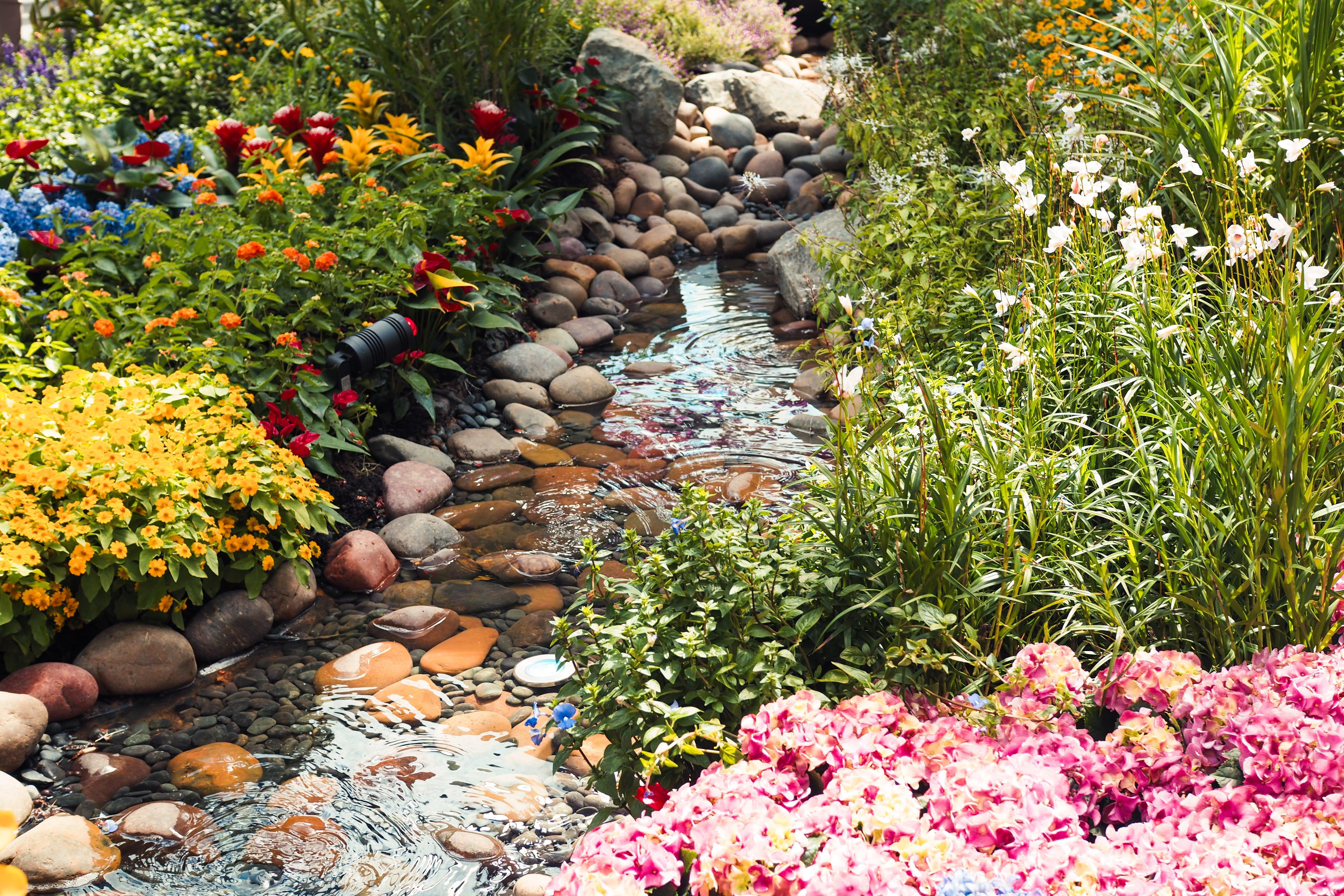 Crowne Plaza Changi Airport, An Ihg Hotel Singapore Exterior photo The photo depicts a serene garden scene featuring a small, gently flowing stream meandering through an array of colorful flowers and plants. On either side of the stream, vibrant blooms can be seen, including clusters of yellow and pink flowers, alon