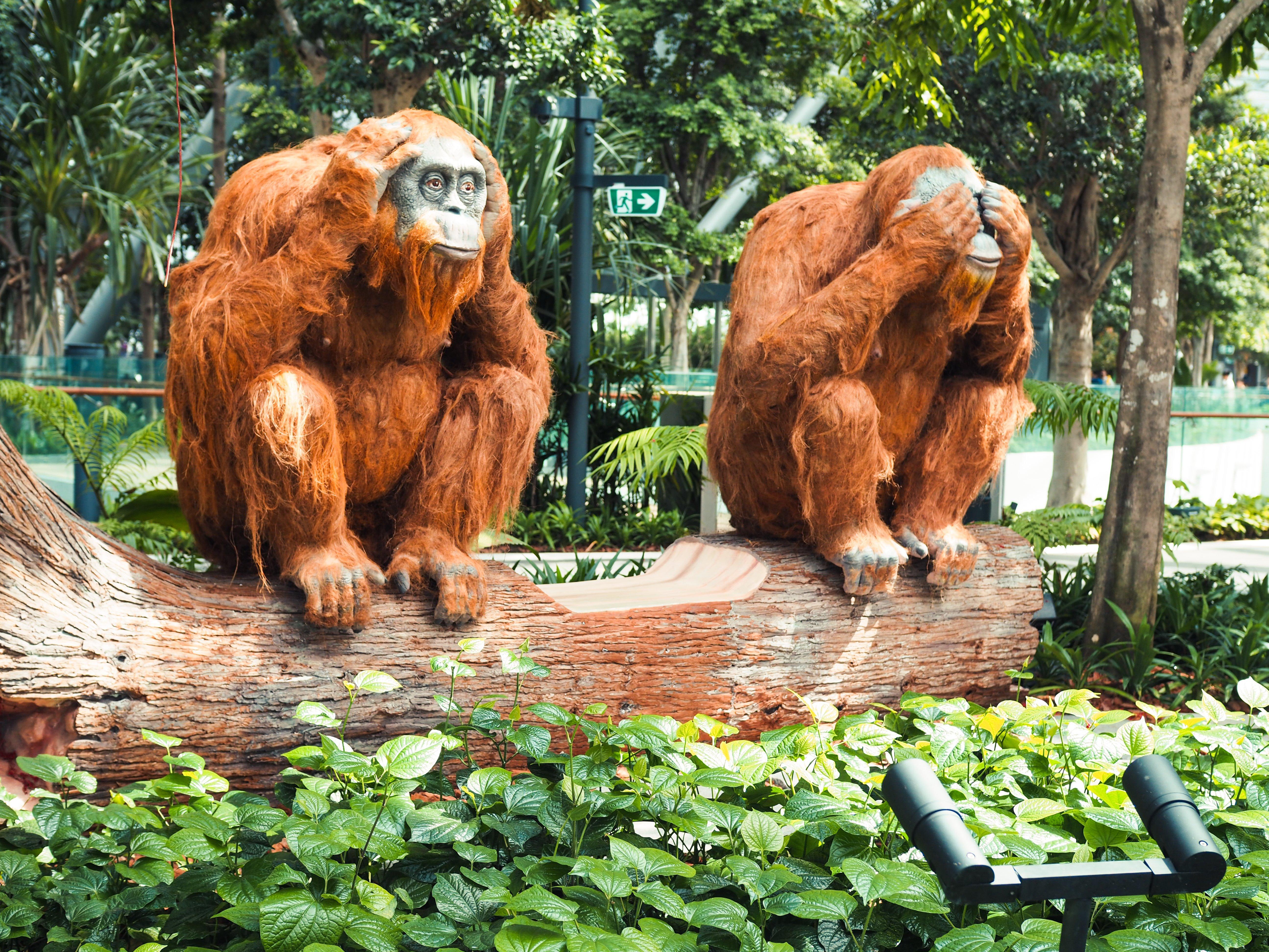 Crowne Plaza Changi Airport, An Ihg Hotel Singapore Exterior photo The photo shows two orangutans seated on a log in a lush green environment. One orangutan has its hands over its eyes, while the other has its hands covering its mouth. The scene is surrounded by vibrant foliage, creating a natural and serene backdro