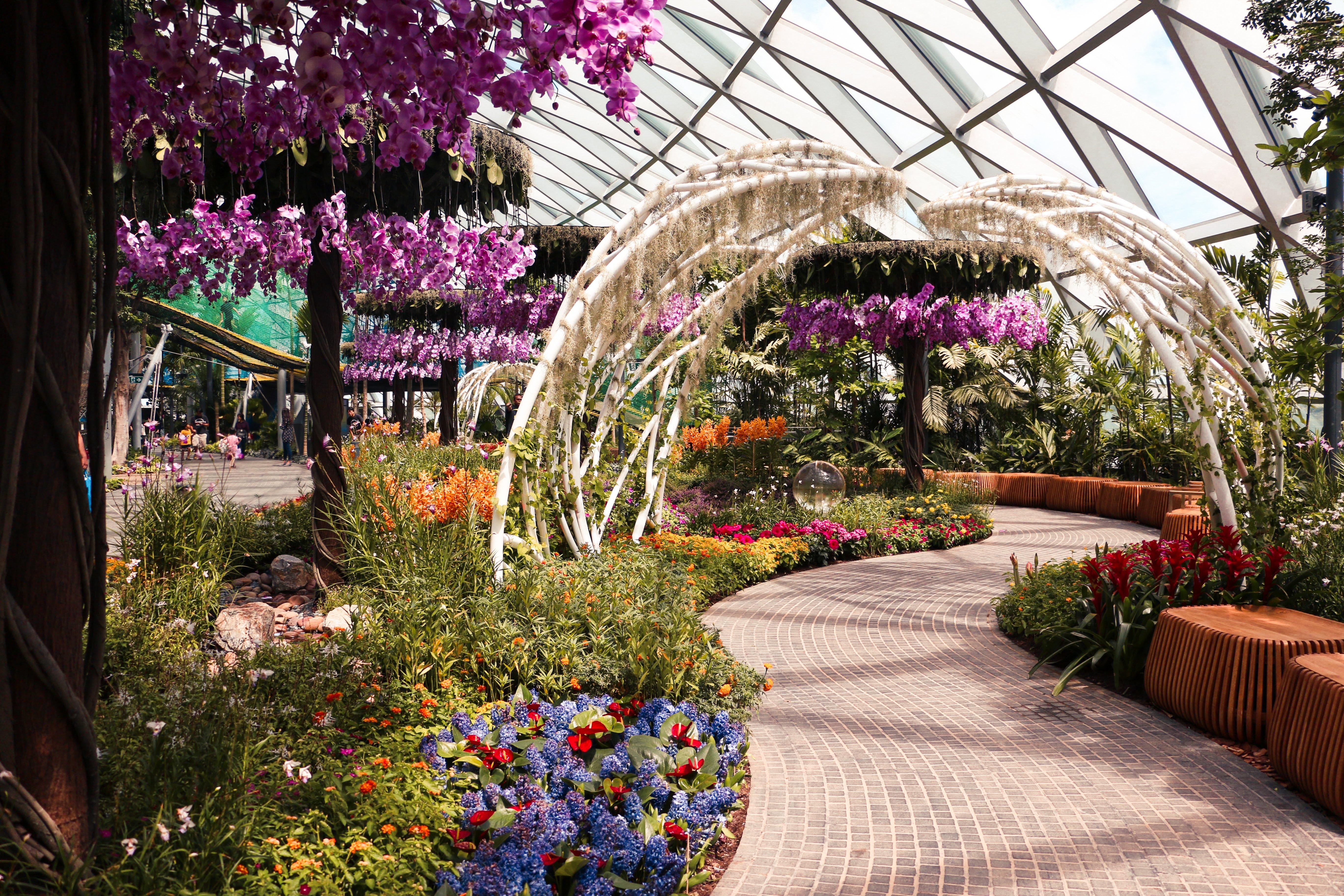 Crowne Plaza Changi Airport, An Ihg Hotel Singapore Exterior photo The photo depicts a beautiful indoor garden featuring vibrant flowers and lush greenery. The scene includes colorful floral arrangements, notably with purple orchids hanging from the ceiling. A winding path made of stone leads through the garden, fla