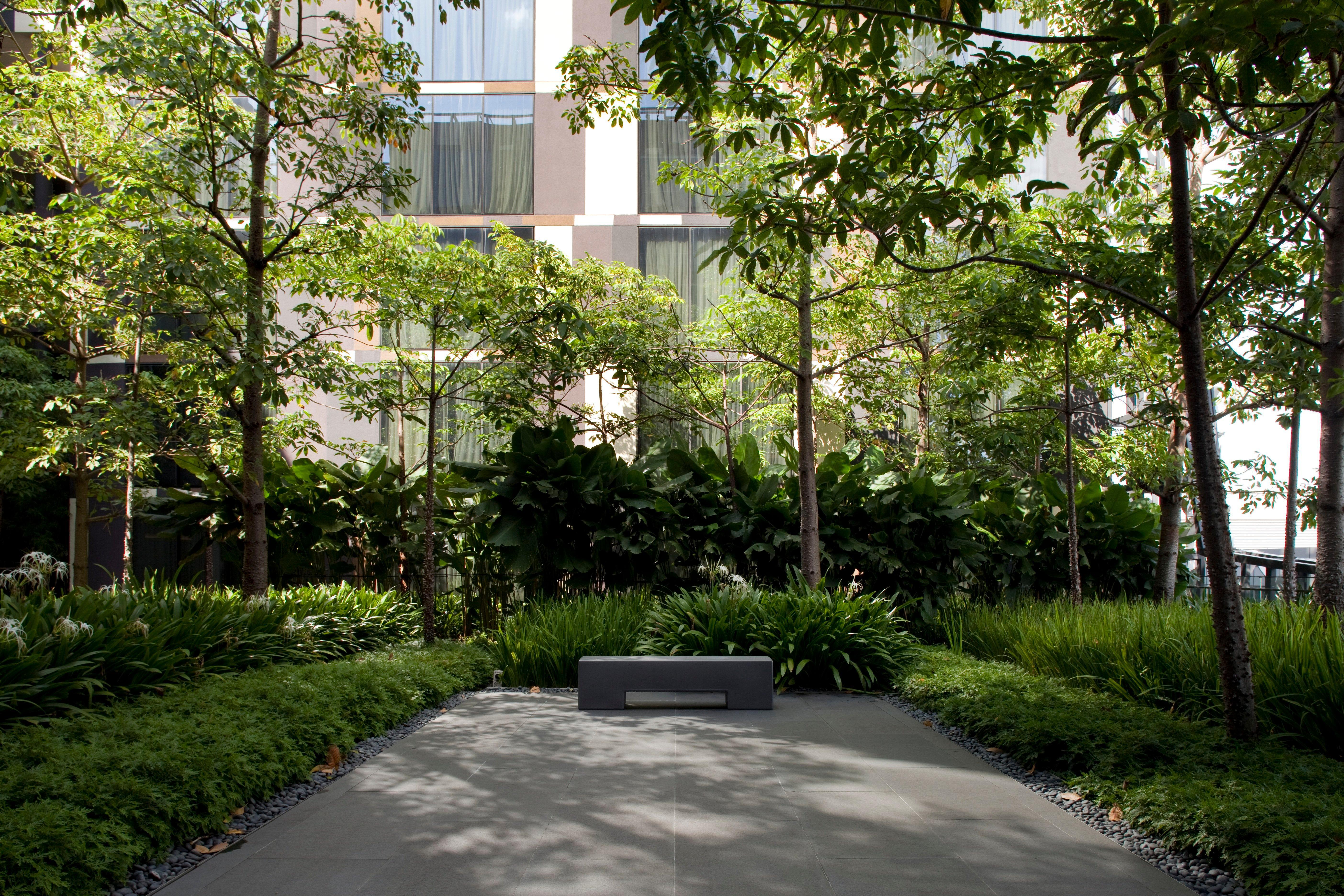 Crowne Plaza Changi Airport, An Ihg Hotel Singapore Exterior photo The photo shows a landscaped area featuring several trees and lush greenery. In the foreground, there is a smooth, paved surface with a minimalist bench. Surrounding the bench are various plants and grasses, creating a serene and inviting atmosphere.