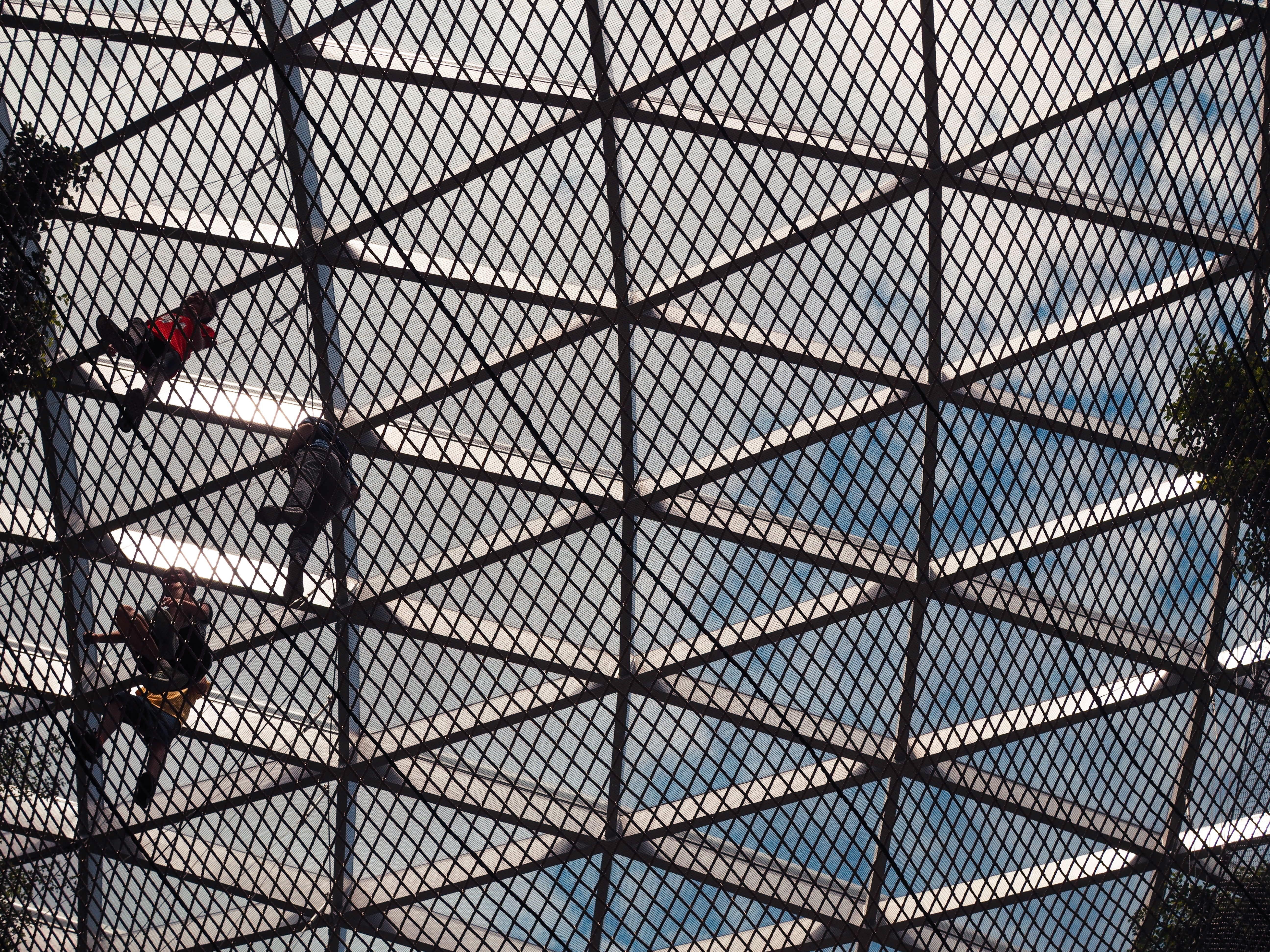 Crowne Plaza Changi Airport, An Ihg Hotel Singapore Exterior photo The photo shows a view of a grid-like structure from below, likely a climbing or netting installation. There are a few individuals visible, appearing to be climbing or navigating the net. The sky can be seen above through the gaps in the grid, which 